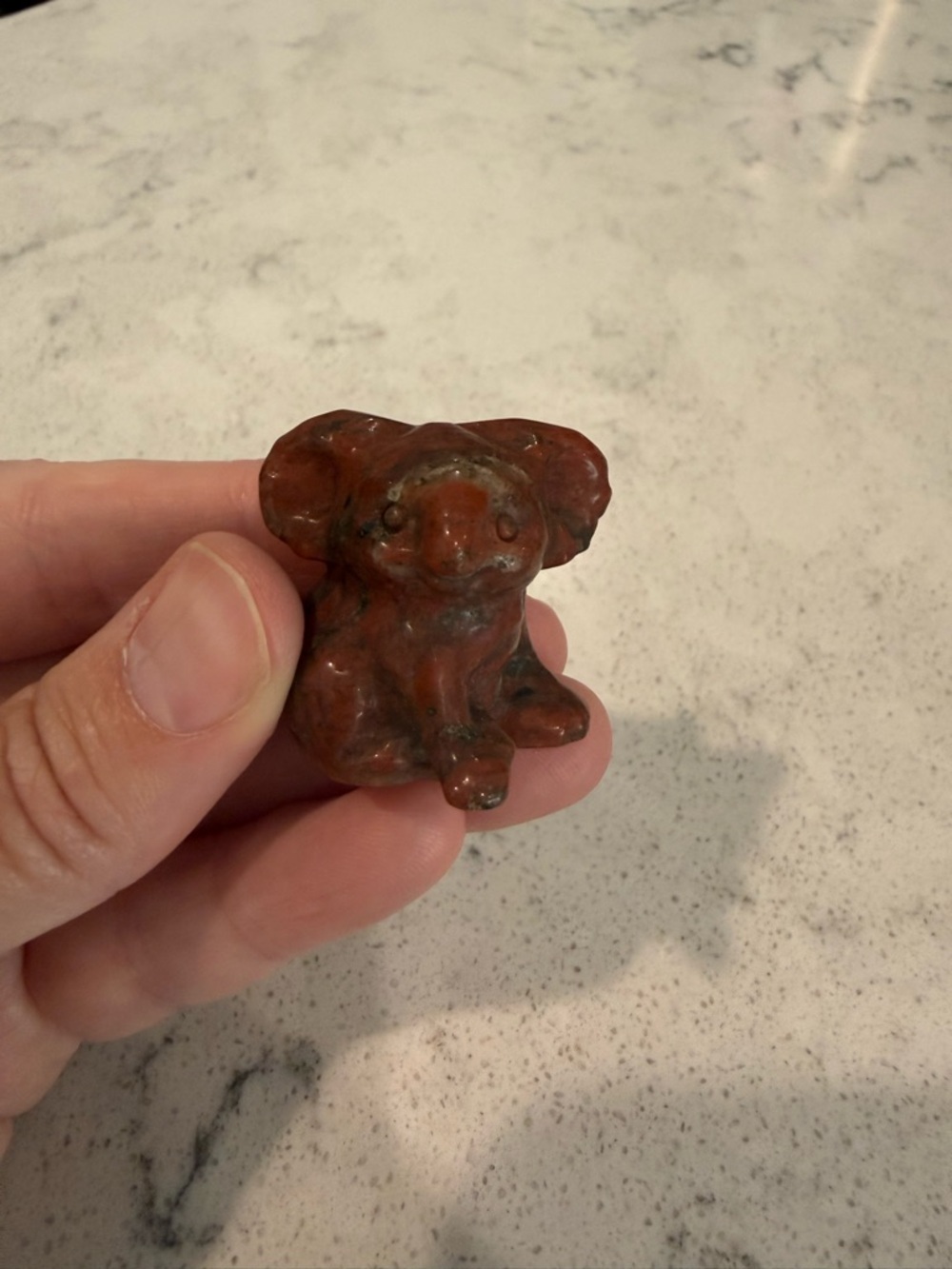 Red Sesame Jasper Koala